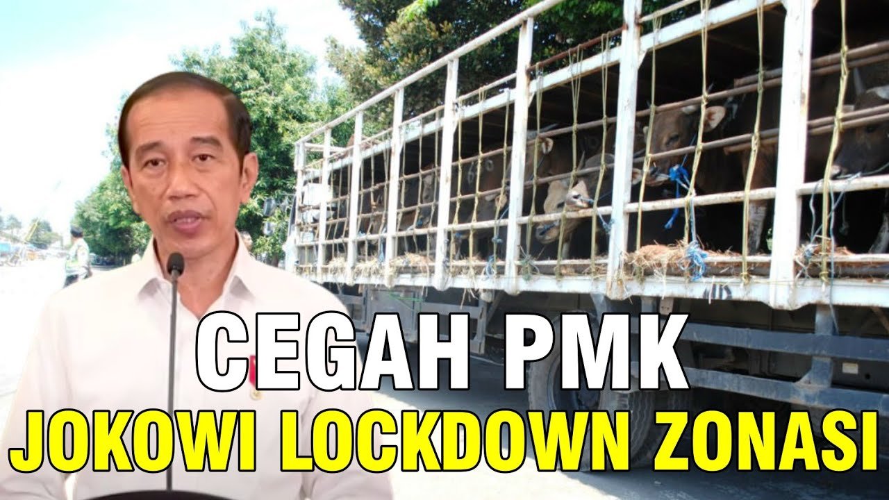 
                                 Cegah-PMK-Jokowi-Lockdown-Zonasi-Lalu-Lintas-Ternak-Sapi-Kambing-Domba